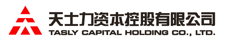 凯发天生赢家一触即发资本控股有限公司